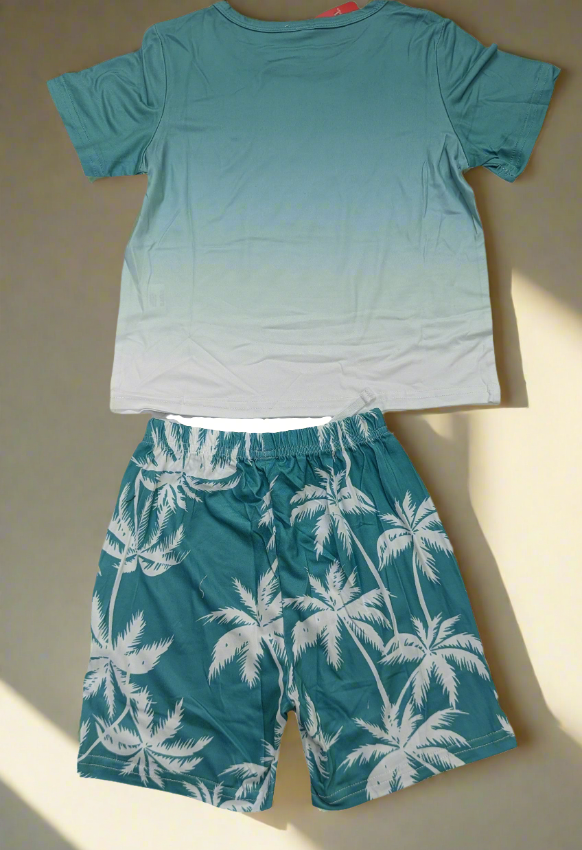 Boys shorts and shirt printed summers outfit