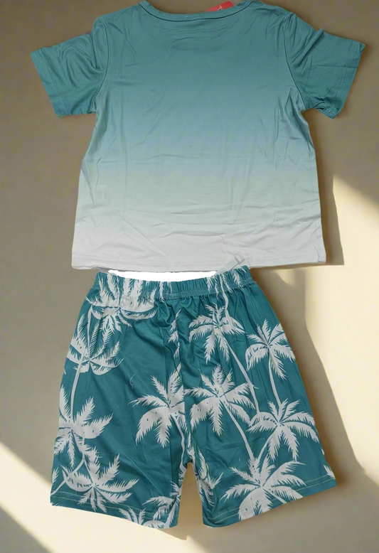 Boys shorts and shirt printed summers outfit