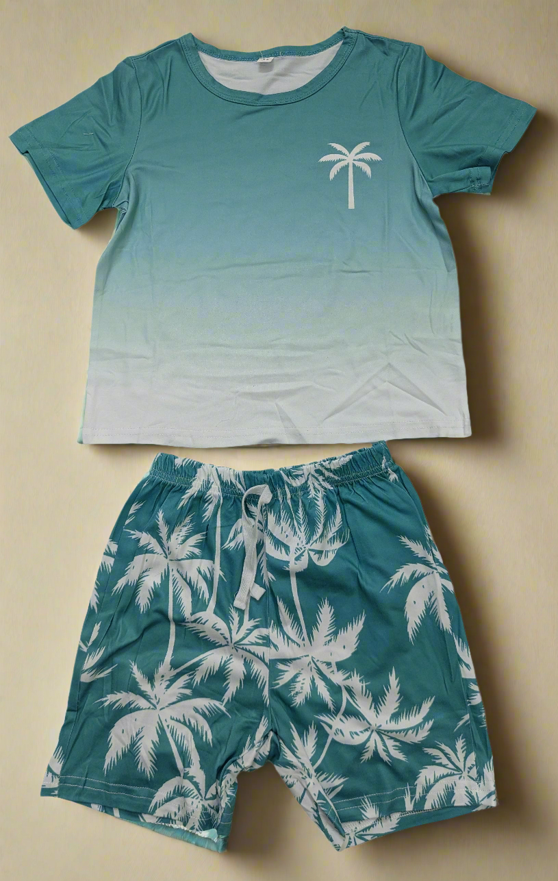 Boys shorts and shirt printed summers outfit